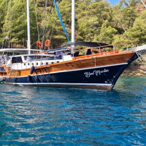 Blue Marlin